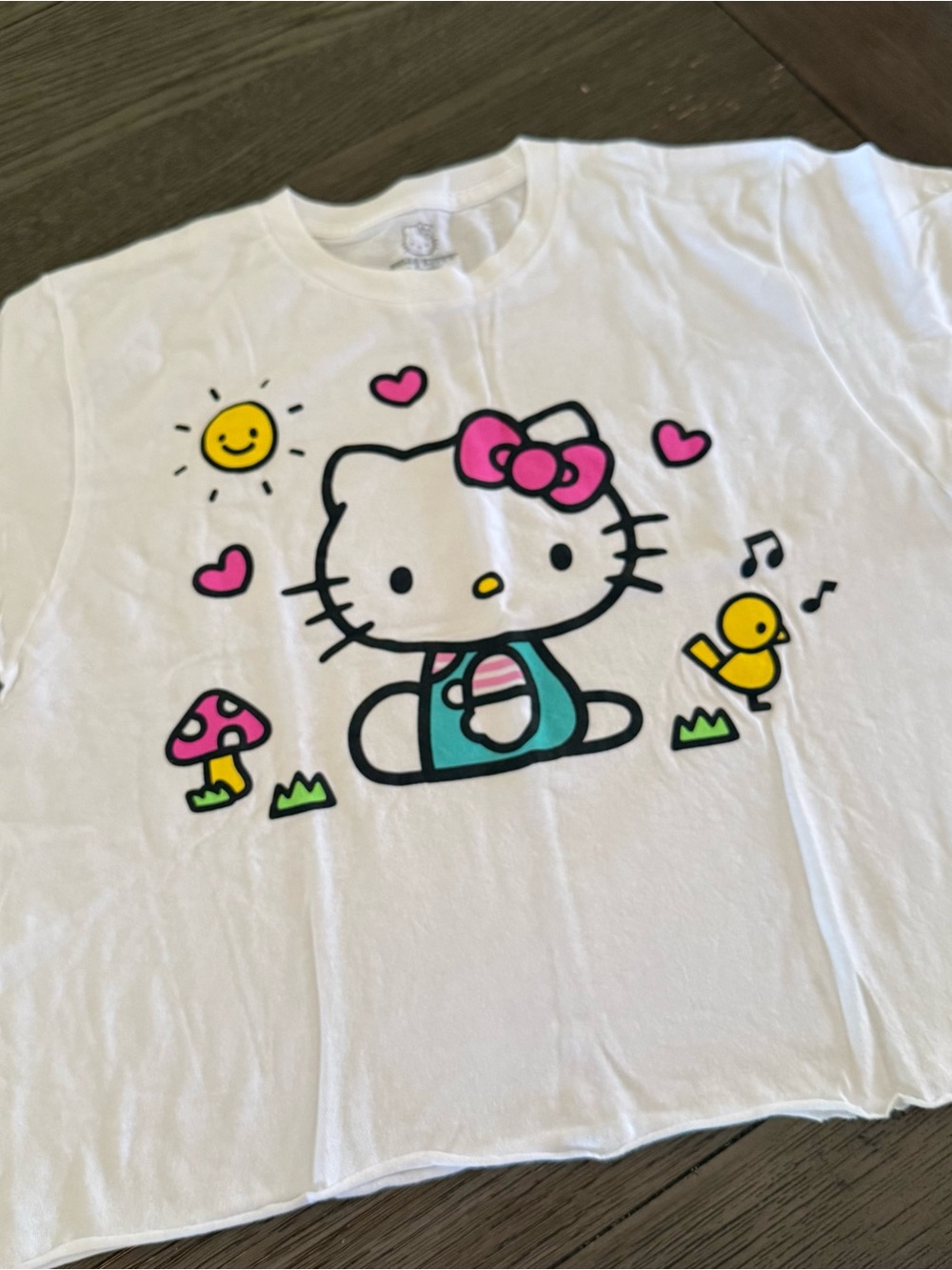 Hello Kitty White Graphic Crop Top M